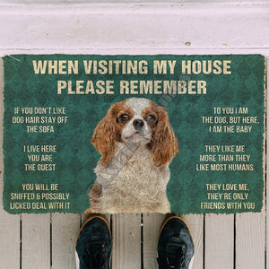 When Visiting My House Please Remember Boxer Doormat