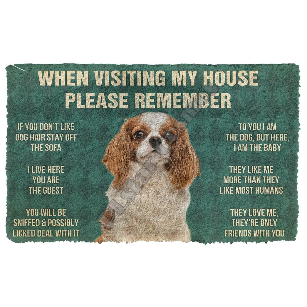 When Visiting My House Please Remember Boxer Doormat