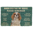 When Visiting My House Please Remember Boxer Doormat
