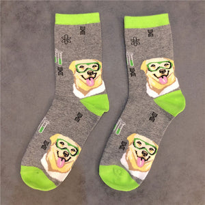 English Bulldog Socks
