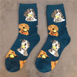 English Bulldog Socks