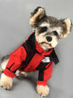 The Dog Face Winter Jacket