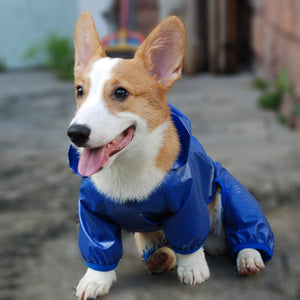 Reflective waterproof dog overall