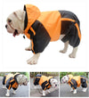 English Bulldog Raincoat