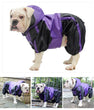 English Bulldog Raincoat