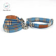 Blue Collar & Leash