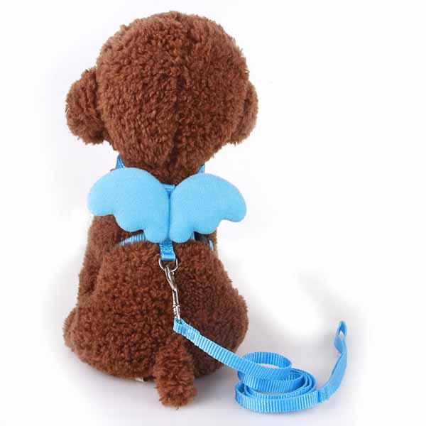Zoey Angel Wing Harness