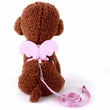 Zoey Angel Wing Harness