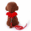 Zoey Angel Wing Harness