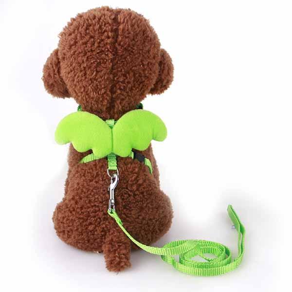 Zoey Angel Wing Harness