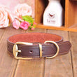 Jody Leather Dog Collar