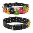 Snuggles Floral Collar Style 2