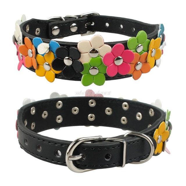 Snuggles Floral Collar Style 2
