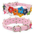 Snuggles Floral Collar Style 2