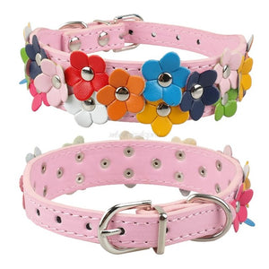 Snuggles Floral Collar Style 2