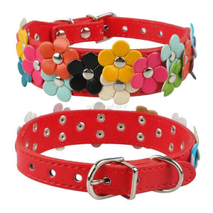 Snuggles Floral Collar Style 2