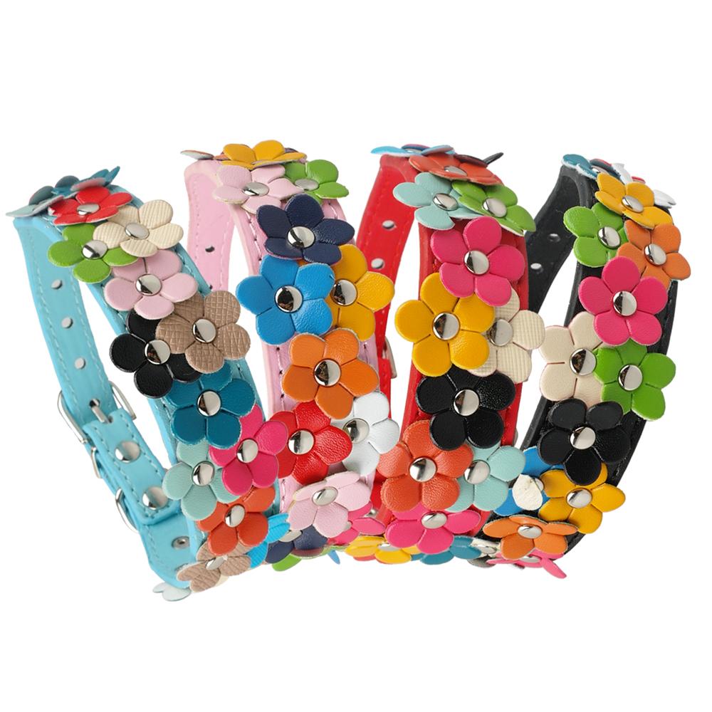 Snuggles Floral Collar Style 2