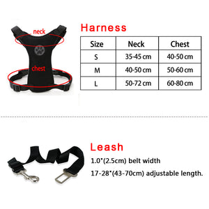 Didi Car Seat Dog Harness and Leash