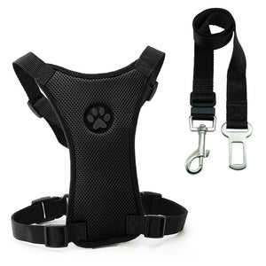 Didi Car Seat Dog Harness and Leash