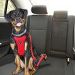 Didi Car Seat Dog Harness and Leash