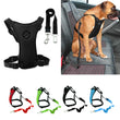 Didi Car Seat Dog Harness and Leash