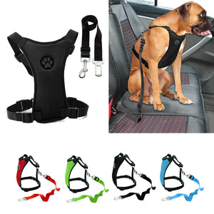 Didi Car Seat Dog Harness and Leash