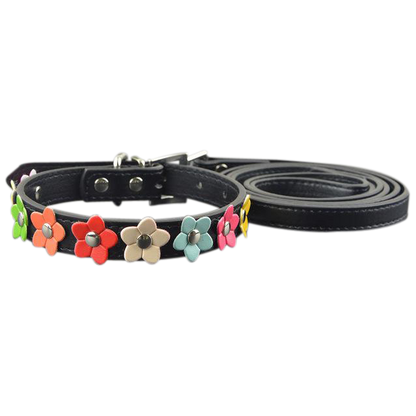 Sarah Flowers Collar + Leash