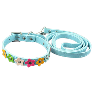 Sarah Flowers Collar + Leash