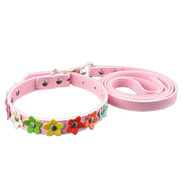 Sarah Flowers Collar + Leash