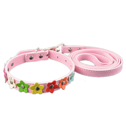 Sarah Flowers Collar + Leash