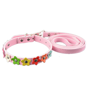 Sarah Flowers Collar + Leash