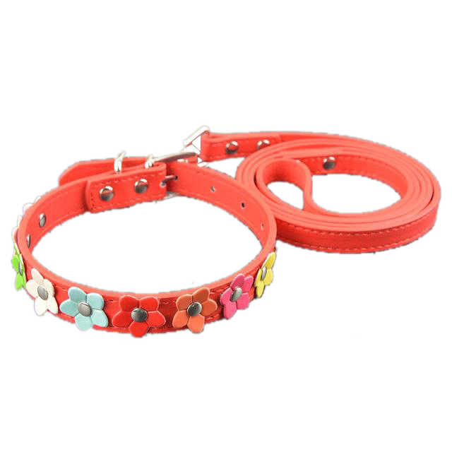 Sarah Flowers Collar + Leash