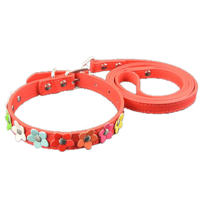 Sarah Flowers Collar + Leash