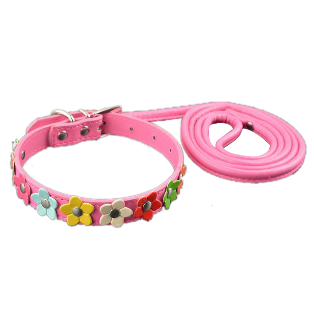 Sarah Flowers Collar + Leash