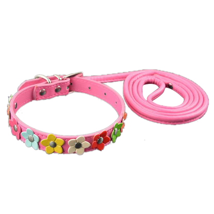 Sarah Flowers Collar + Leash