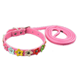 Sarah Flowers Collar + Leash