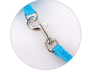 Zoey Angel Wing Harness