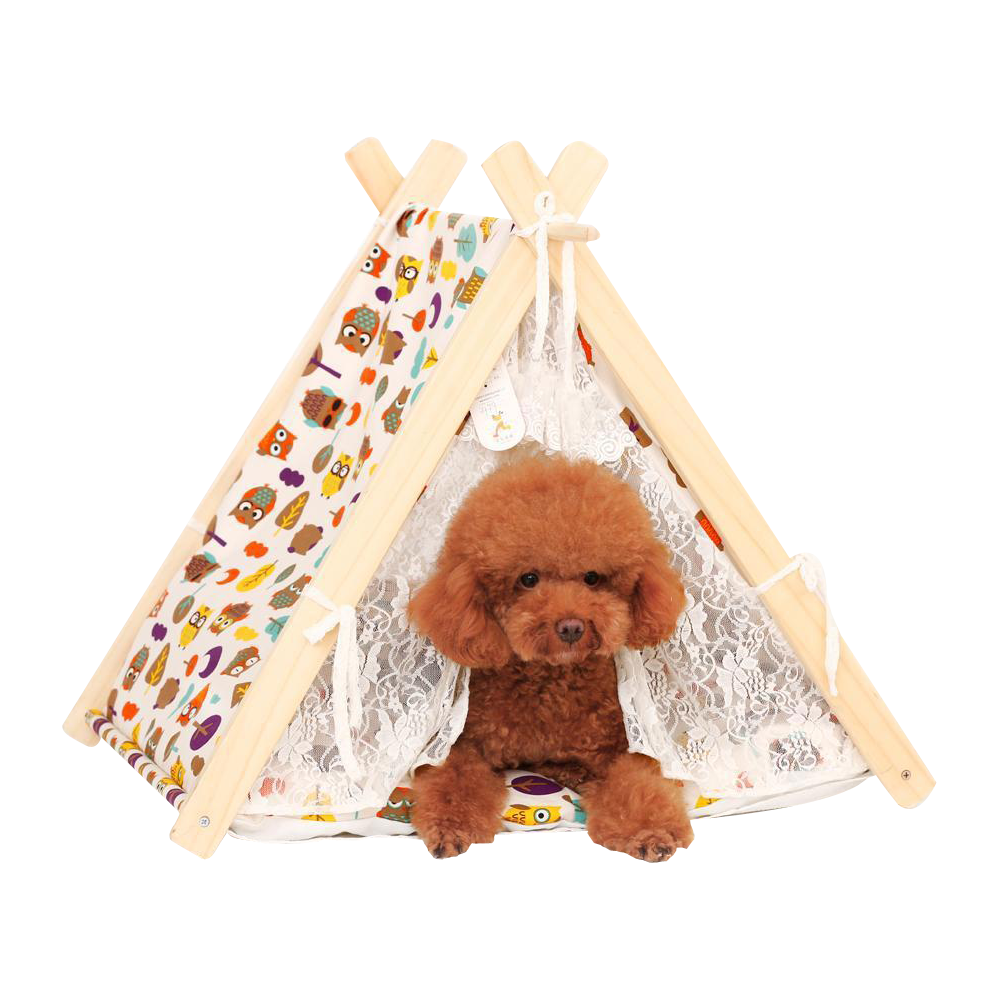 Owl Dog Tent
