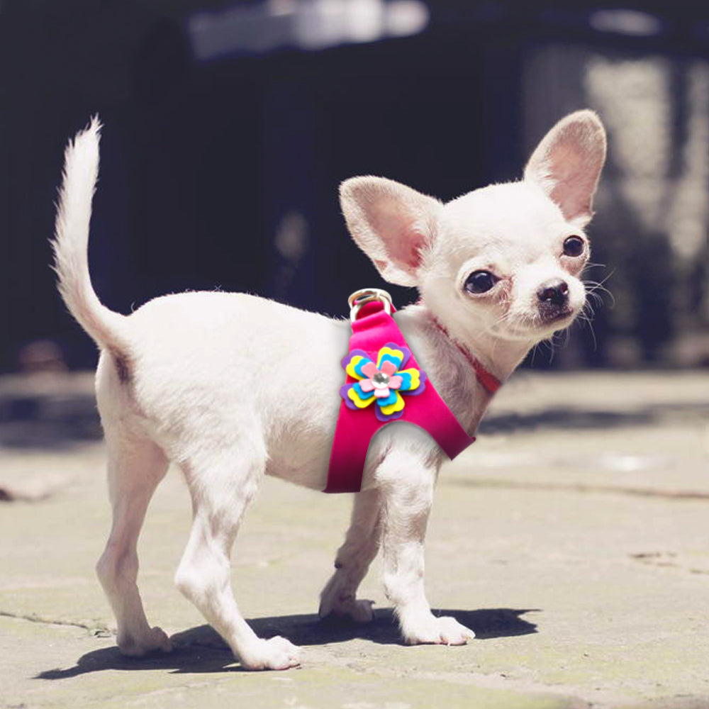 Flower Dog Harness