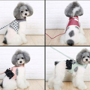 Peanut Adjustable Harness