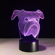 Color Changing Boxer Lamp