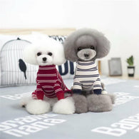 Teddy Striped PJ