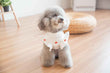 Nipsey Dog Crown Dress