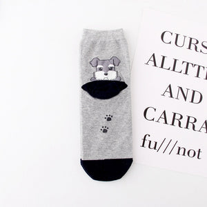 Poppy Dog Socks