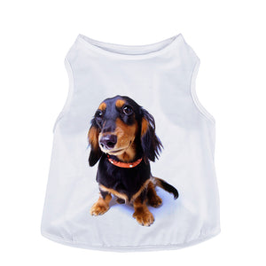 Doxie Top