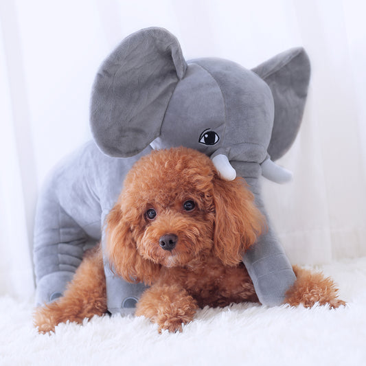 Wild-Pet Plush Pillow