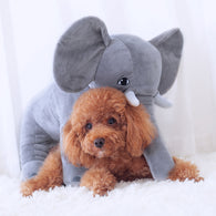 Wild-Pet Plush Pillow
