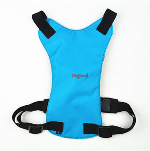 Dog Safety Harness