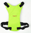 Dog Safety Harness