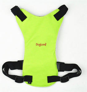 Dog Safety Harness